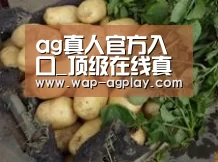 产品展示标题4