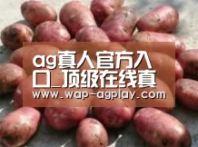 产品展示标题5