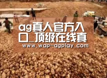 种植基地二