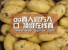 产品展示标题6