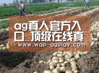 种植基地八