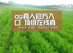 种植基地四